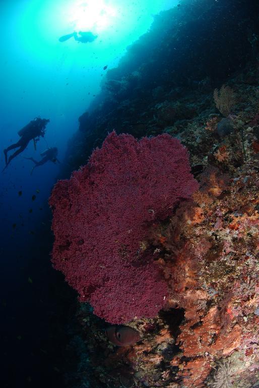 Bunaken Divers Sea Breeze Resort מראה חיצוני תמונה